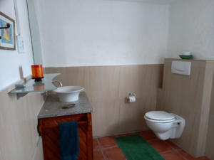 cot 5 toilet and basin 2SMALL