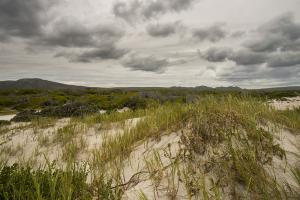 wolfhuiskop-from-dunes